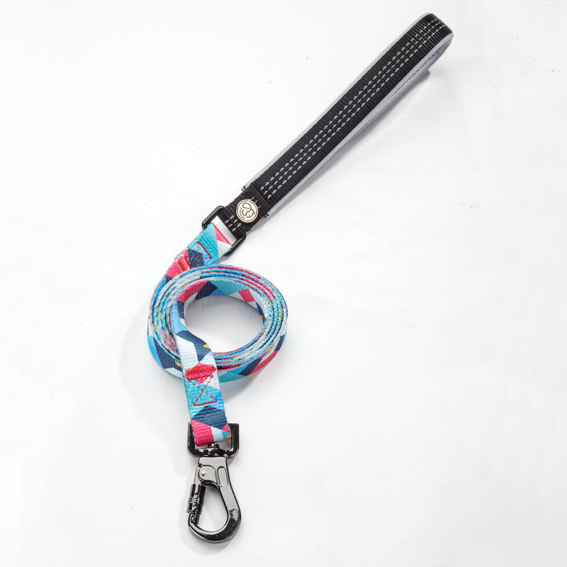 Pet supplies dog leash - Pet Parade Point