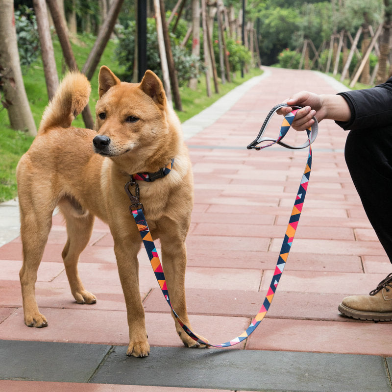 Pet supplies dog leash - Pet Parade Point