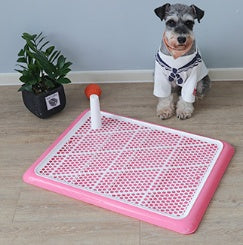 Portable Indoor Dog Toilet Pet Training Mat - Pet Parade Point