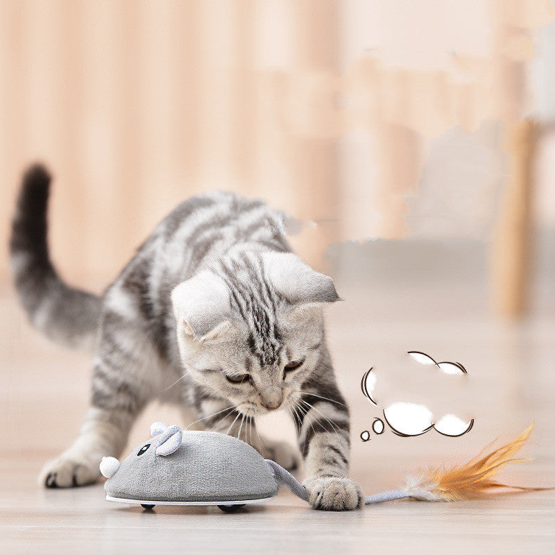Pet Cat Toy Crawling Mouse With USB Charging - Pet Parade Point