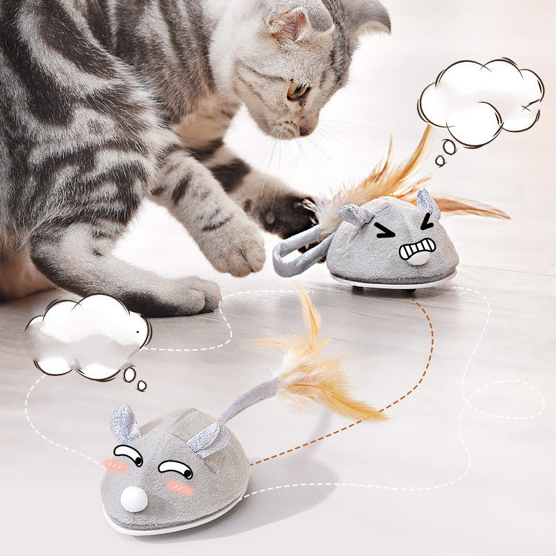 Pet Cat Toy Crawling Mouse With USB Charging - Pet Parade Point